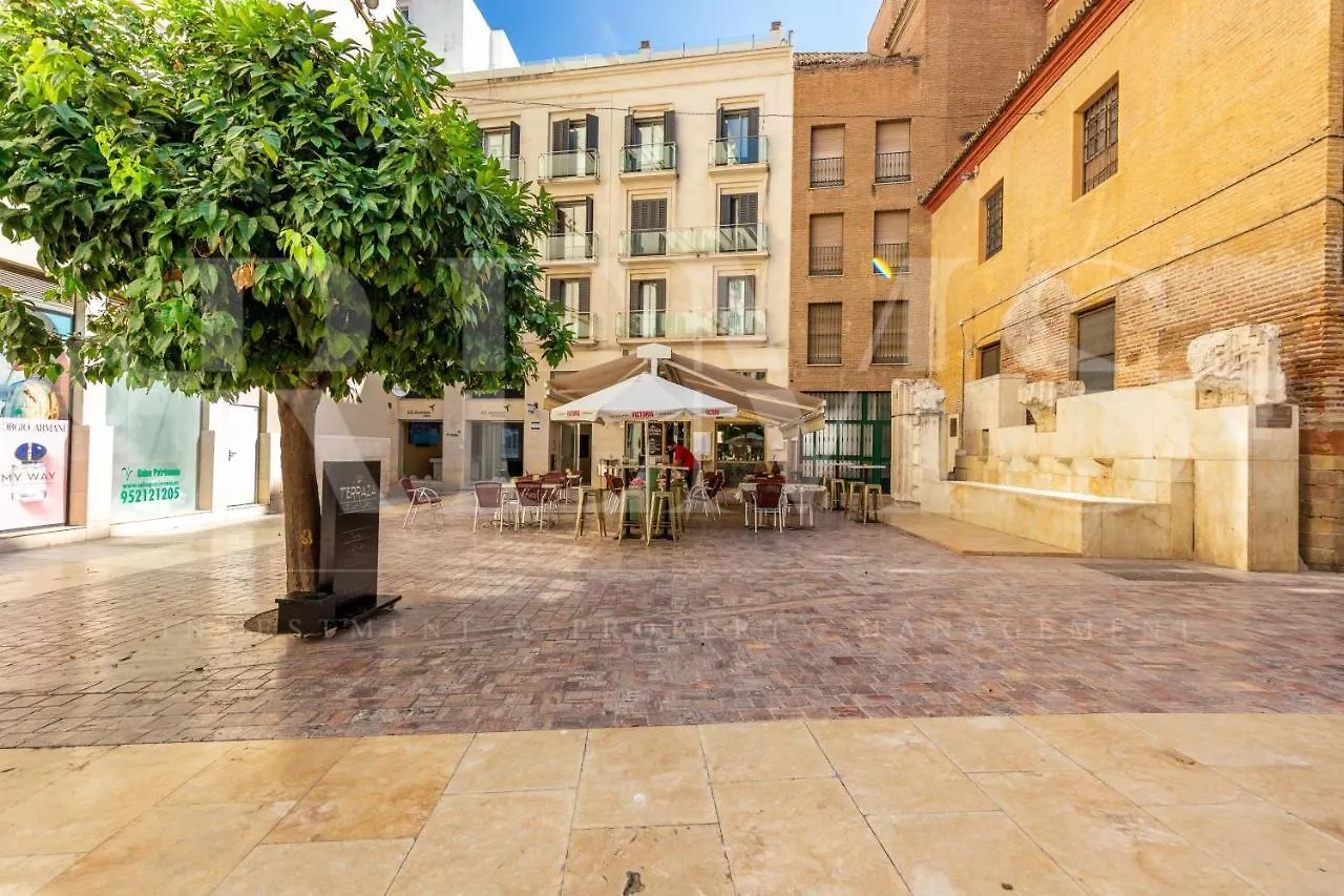 Stylish Apartment In The Historic Center 30 Meters From Calle Larios By Rems Málaga