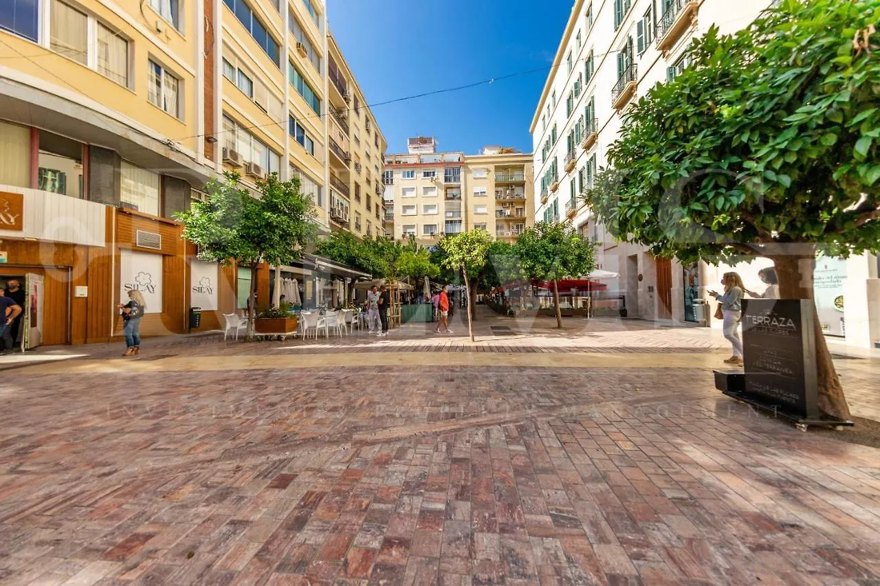 Stylish Apartment In The Historic Center 30 Meters From Calle Larios By Rems Málaga España