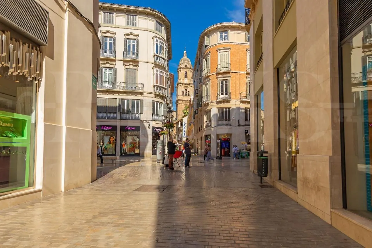 Stylish Apartment In The Historic Center 30 Meters From Calle Larios By Rems Málaga